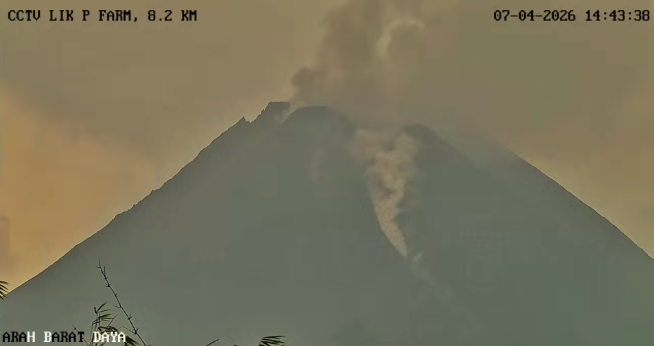 Gunung Merapi kembali mengalami awan panas guguran sejauh 1,8 km, Selasa (7/4/2026), BPPTKG mengimbau masyarakat menjauhi kawasan rawan dan waspada potensi lahar hujan. (dok. Freekom Tagana DIY)